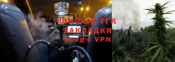 сатива Беломорск