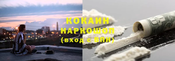 сатива Беломорск