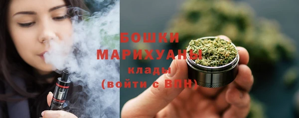 сатива Беломорск