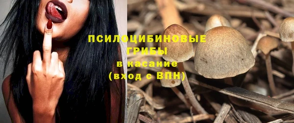 ешки Белокуриха