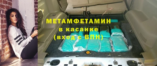 сатива Беломорск