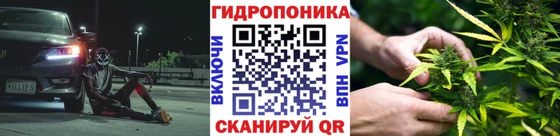 купить   Михайлов  Канабис Amnesia 
