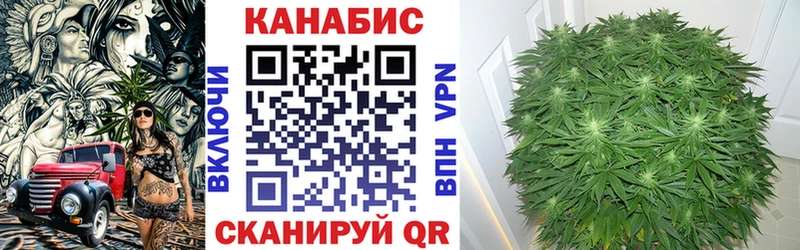 Конопля семена Михайлов
